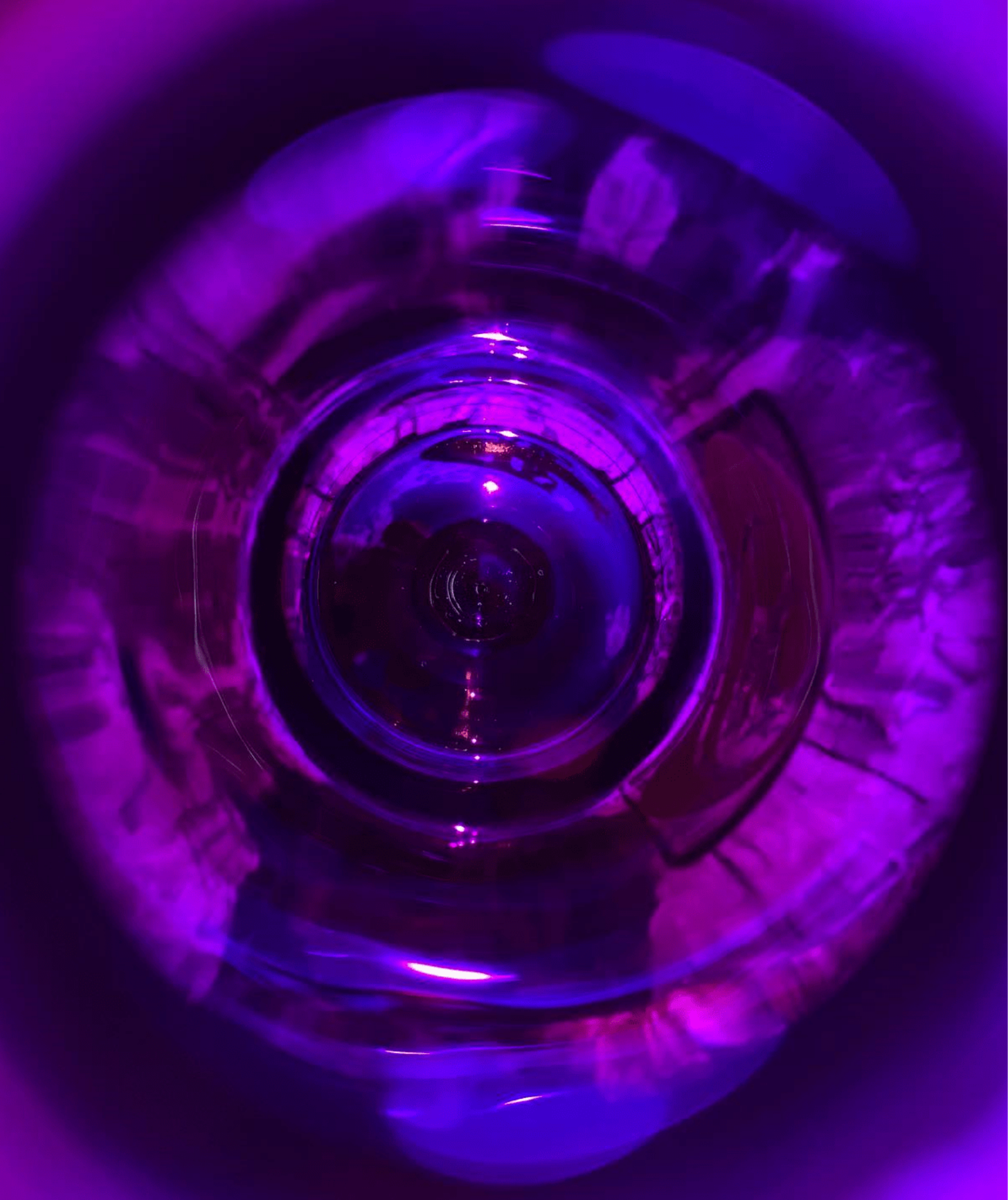 Black Bottle _ Miron Violet Glass Bottle (3) Black Bottle | Miron Violet Glass Bottle - Image 3